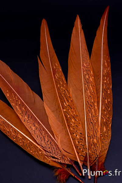 Faisan argenté paillettes bronzes - 32-38 cm - or aztèque